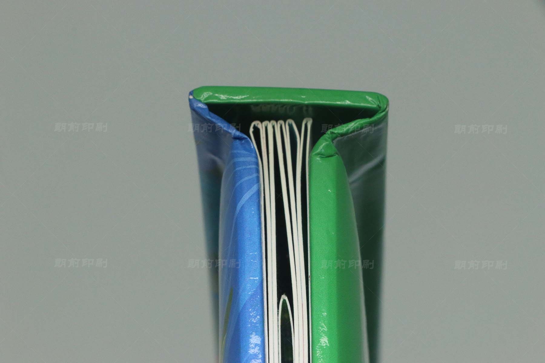 廣州產(chǎn)品宣傳畫(huà)冊(cè)印刷圖片 廣州公司畫(huà)冊(cè)印刷公司